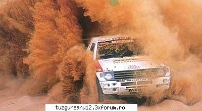dakar - tuzgureanu - Masini